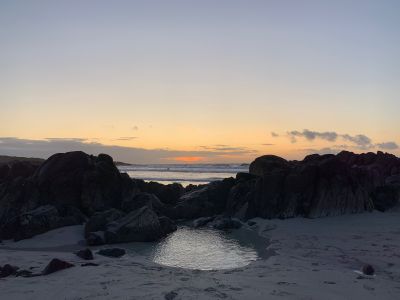 evening_walk.jpeg